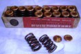 Skanderian Valve Springs